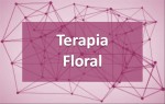 Terapia Floral_Codigassertivo - Consulting &Training